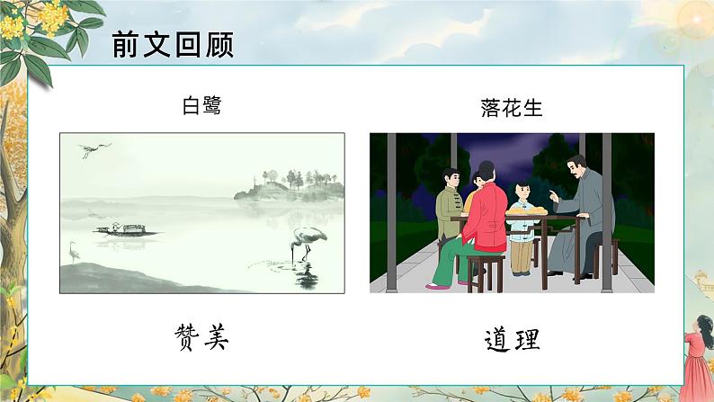 3.桂花雨 第一课时 课件+教案02