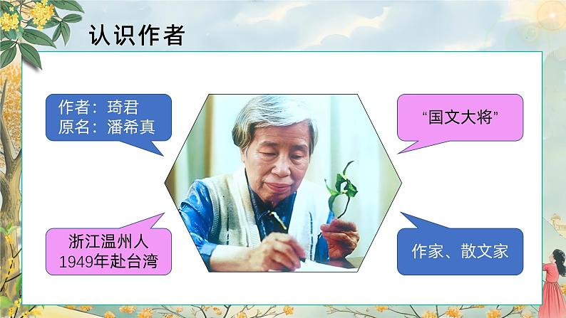 3.桂花雨 第一课时 课件+教案04