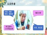 3.桂花雨 第一课时 课件+教案