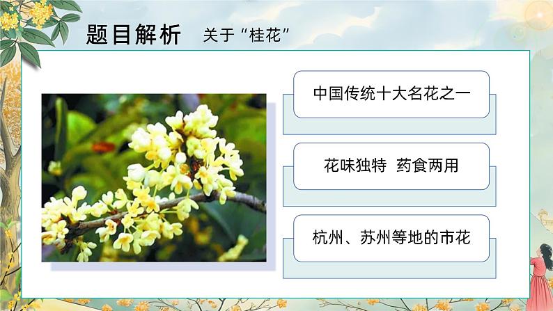 3.桂花雨 第一课时 课件+教案05