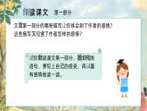 3.桂花雨 第二课时 课件+教案