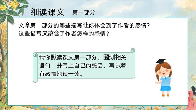 3.桂花雨 第二课时 课件+教案03