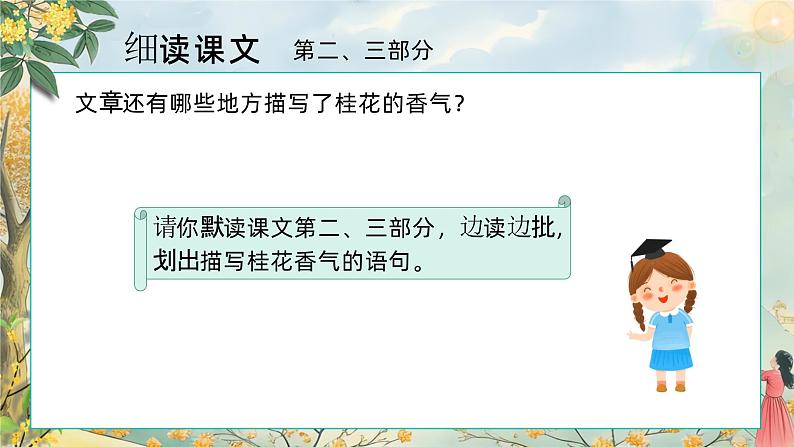 3.桂花雨 第二课时 课件+教案05