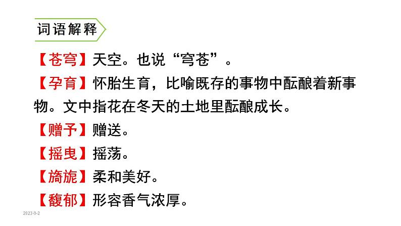 4 .花之歌（课件） 六年级上册语文 2023-2024学年第一学期人教部编版05