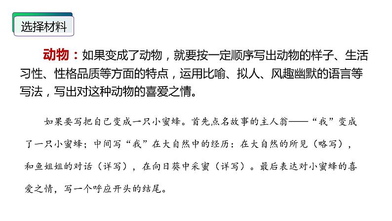 第一单元习作：变形记（课件）六年级上册语文 2023-2024学年第一学期 人教部编版第8页