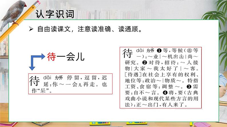 4.珍珠鸟 课件+教案06