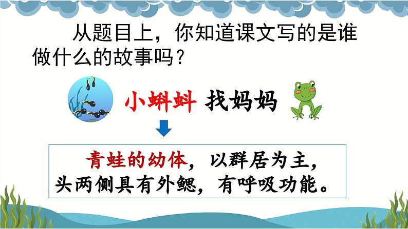 部编版二上语文优质课件1 小蝌蚪找妈妈【优质版】第3页