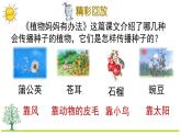 部编版二上语文期末复习专项5：课文知识点复习课件