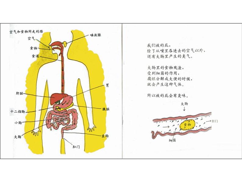 绘本故事ppt-放屁08