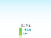 人教版小学语文四年级上册第二单元4青鸟情课件
