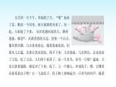 人教版小学语文四年级上册第二单元4青鸟情课件