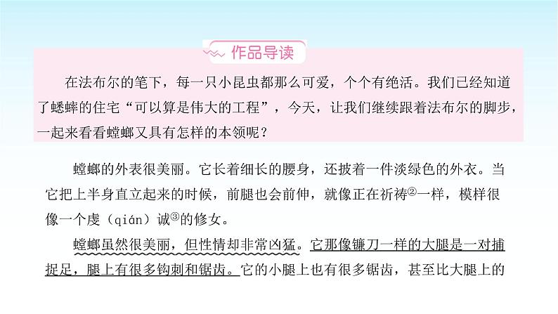 人教版小学语文四年级上册第三单元6螳螂课件02