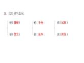 人教版小学语文四年级上册第二单元5一个豆荚里的五粒豆课件
