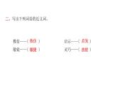 人教版小学语文四年级上册第二单元6夜间飞行的秘密课件