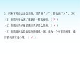 人教版小學(xué)語文三年級上冊第六單元綜合能力評價課件