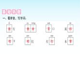 人教版小学语文三年级上册第三单元10在牛肚子里旅行课件