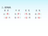 人教版小学语文三年级上册第六单元18富饶的西沙群岛课件