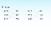 人教版小学语文三年级上册第六单元18富饶的西沙群岛课件