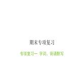 人教版小学语文四年级上册专项复习一课件