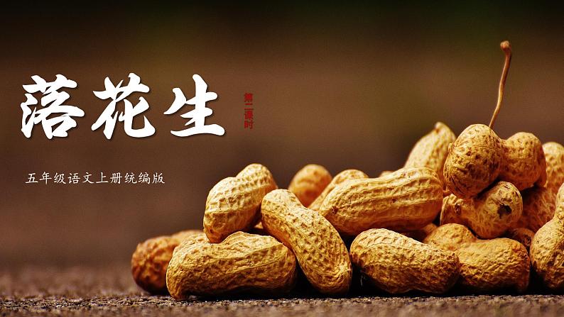 部编版语文五年级上册 第二课《落花生》（第2课时） 同步课件+同步练习+同步教案+导学案01