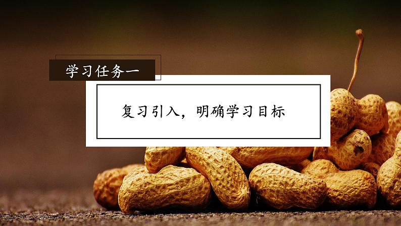 部编版语文五年级上册 第二课《落花生》（第2课时） 同步课件+同步练习+同步教案+导学案02