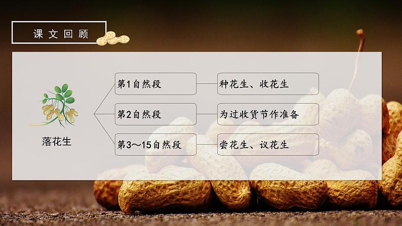 部编版语文五年级上册 第二课《落花生》（第2课时） 同步课件+同步练习+同步教案+导学案03