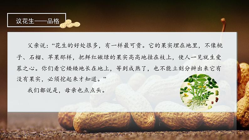 部编版语文五年级上册 第二课《落花生》（第2课时） 同步课件+同步练习+同步教案+导学案07