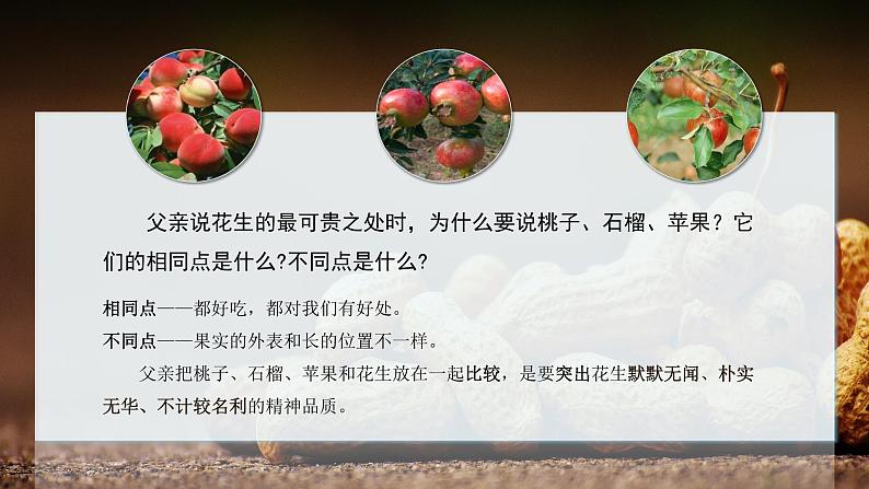 部编版语文五年级上册 第二课《落花生》（第2课时） 同步课件+同步练习+同步教案+导学案08