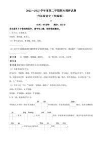 邯郸市临漳县临漳县南东坊镇中心校2023年部编版小升初考试语文试卷（解析版）