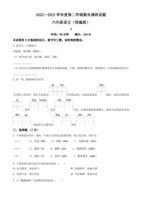 邯郸市临漳县临漳县南东坊镇中心校2023年部编版小升初考试语文试卷（原卷版）