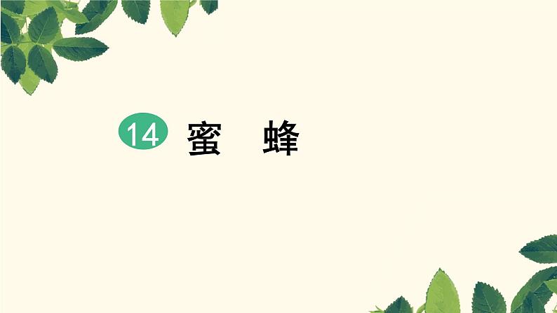 14，蜜蜂 自用课件PPT02