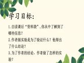 14，蜜蜂 自用课件PPT