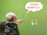人教版语文一年级上册课件14 小蜗牛（课件）