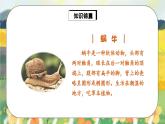 人教版语文一年级上册课件14 小蜗牛（课件）