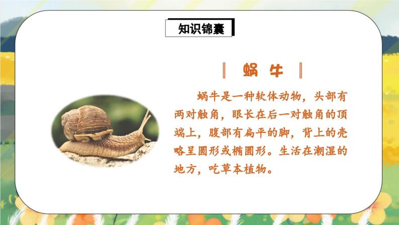 人教版语文一年级上册课件14 小蜗牛（课件）05