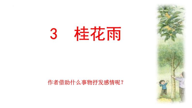 3 桂花雨（课件）-统编版语文五年级上册02