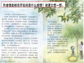 3 桂花雨（课件）-统编版语文五年级上册