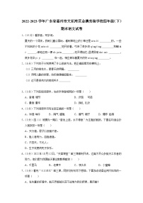 广东省惠州大亚湾区金澳实验学校2022-2023学年四年级下学期期末语文试卷