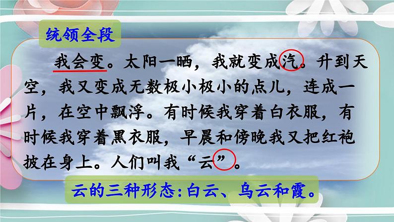 统编版语文二年级上册 2.我是什么第2课时 课件第5页