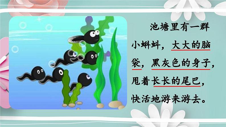 统编版语文二年级上册 2.小蝌蚪找妈妈 第2课时 课件05