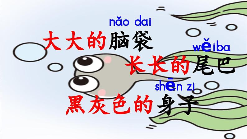 统编版语文二年级上册 2.小蝌蚪找妈妈 第2课时 课件06