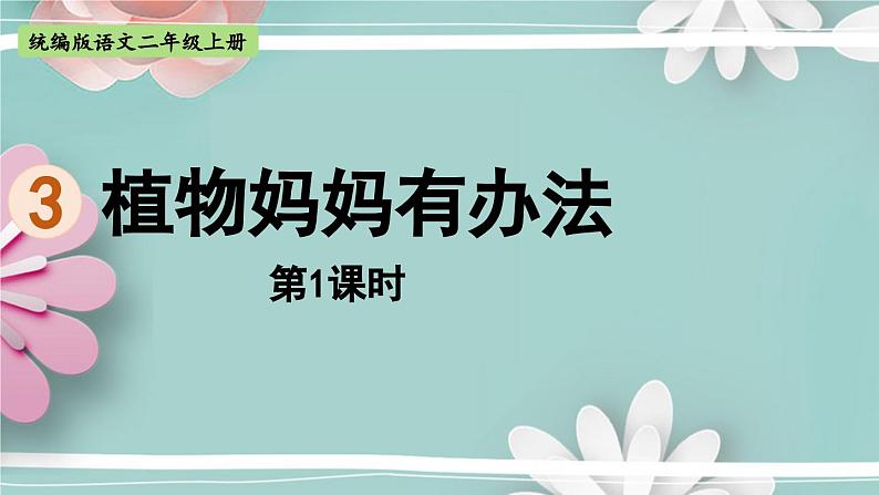 统编版语文二年级上册 3.植物妈妈有办法 第1课时 课件01