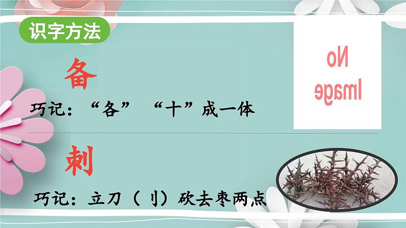 统编版语文二年级上册 3.植物妈妈有办法 第1课时 课件06