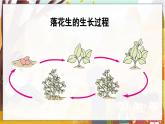统编版语文五（上）第1单元 2.落花生 教学课件
