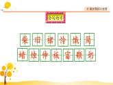 8卖火柴的小女孩-部编版语文三年级上册 课件教案