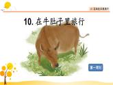 10在牛肚子里旅行-部编版语文三年级上册 课件教案