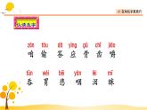 10在牛肚子里旅行-部编版语文三年级上册 课件教案