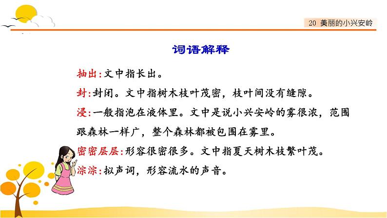 20美丽的小兴安岭 课件-部编版语文三年级上册第4页