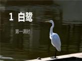 1 白鹭 课件-部编版语文五年级上册