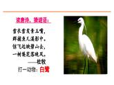 1 白鹭 课件-部编版语文五年级上册